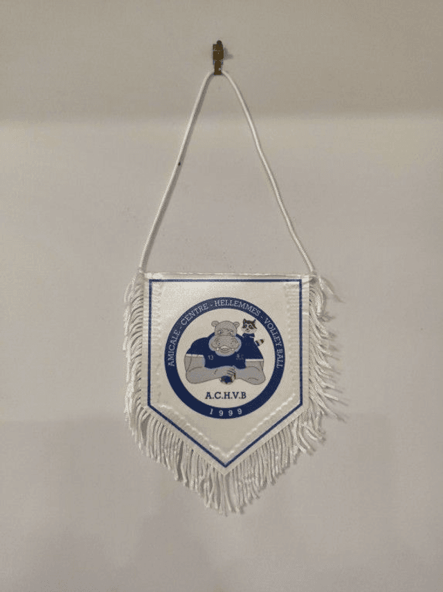 Fanion 10x12cm 